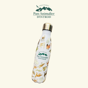 Borraccia termica 500ml